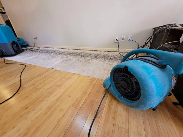 Professional Burst Pipe Water Damage technician working in Belton, MO